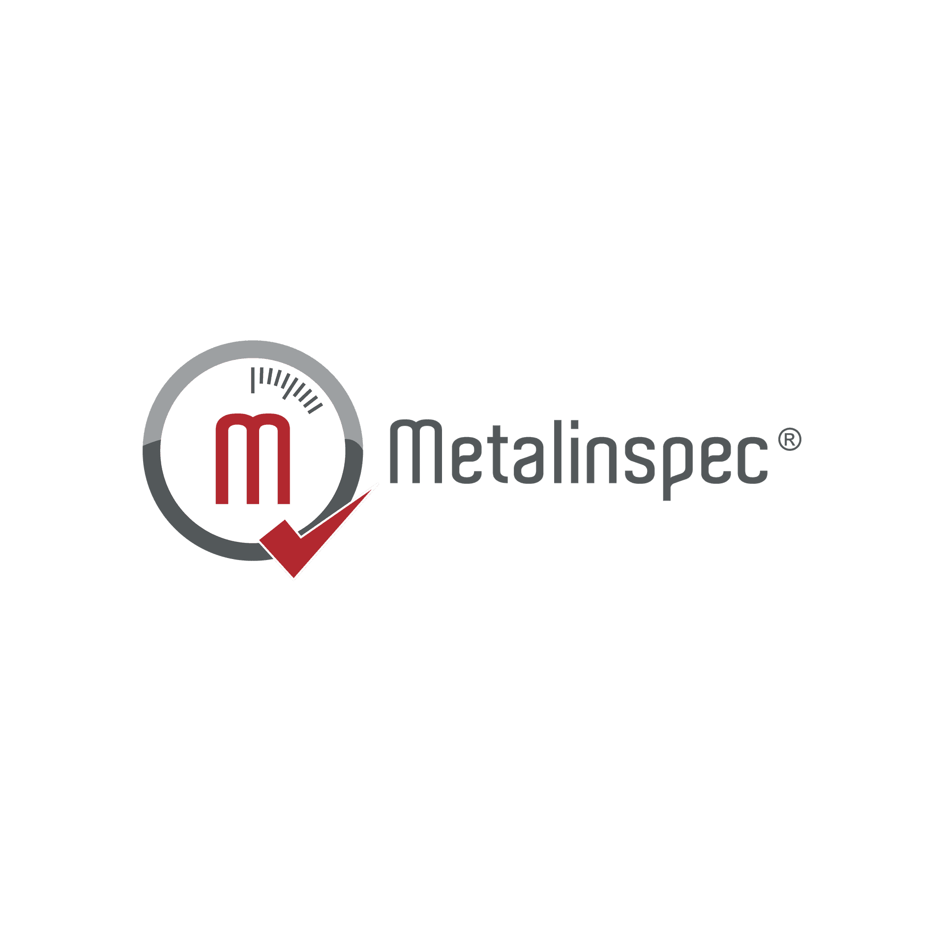 Metalinspec Logo